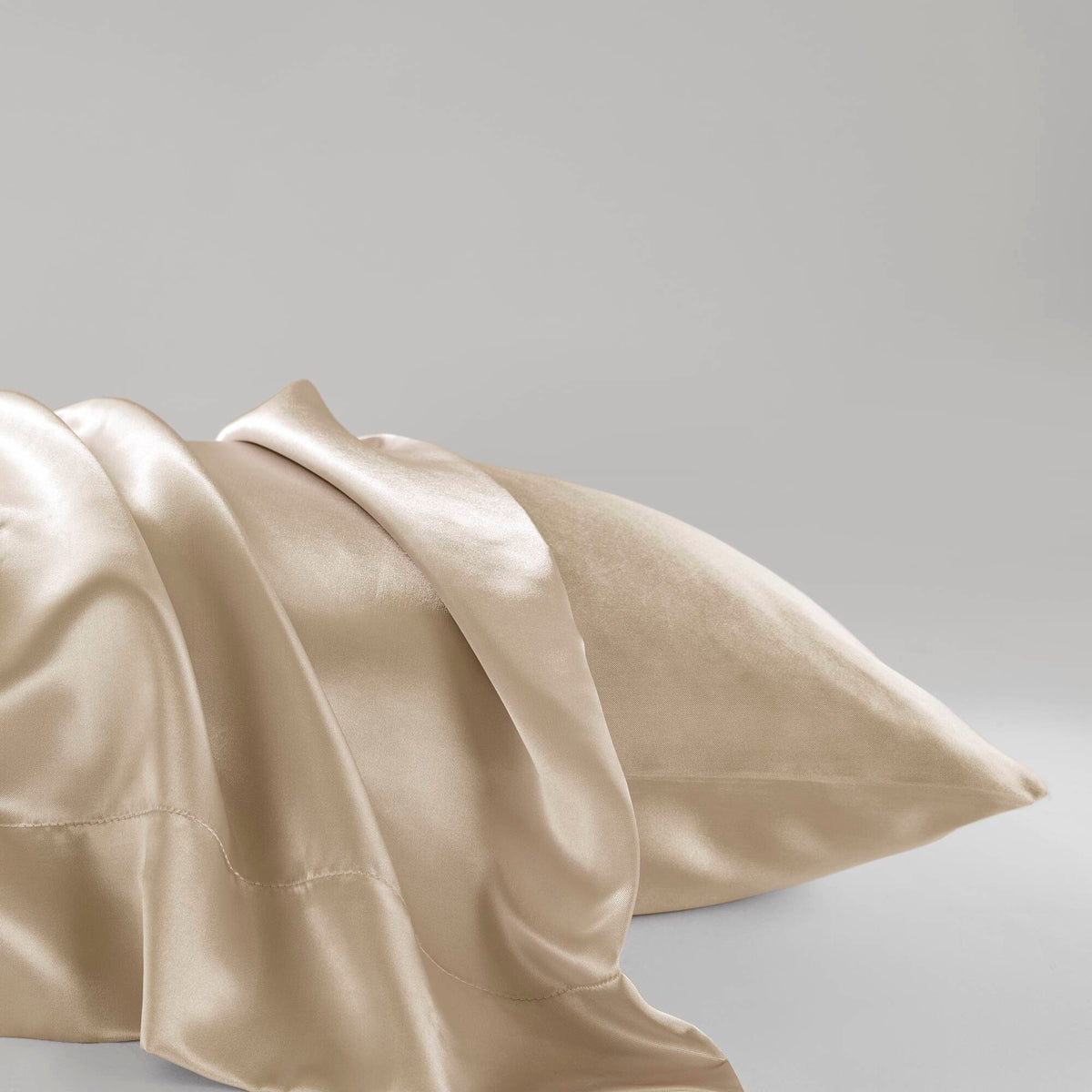 Luxury 2 PC Pillowcases