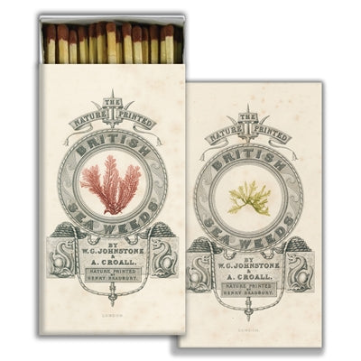 Matches - British Sea Weeds - Brown