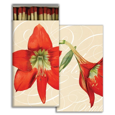 Match - Amaryllis
