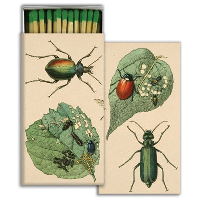 Match - Munching Insects