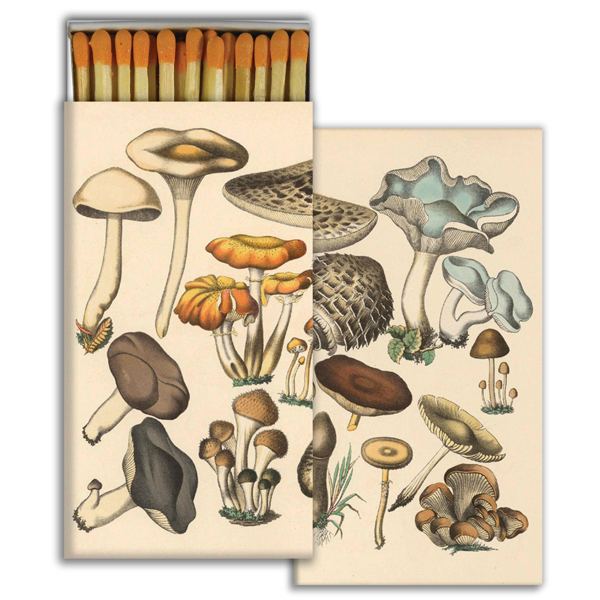Matches - Foraged Mushrooms