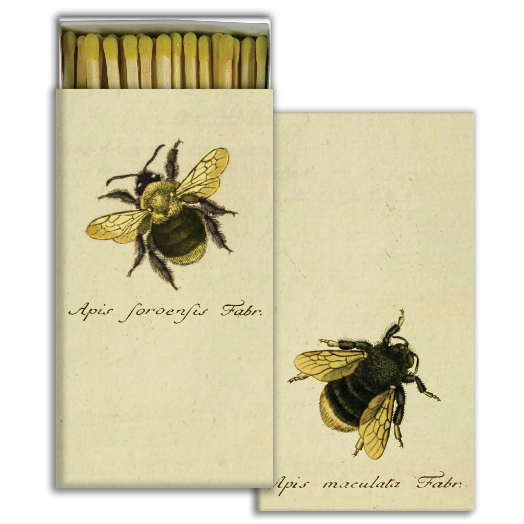 Matches - Bumble Bees