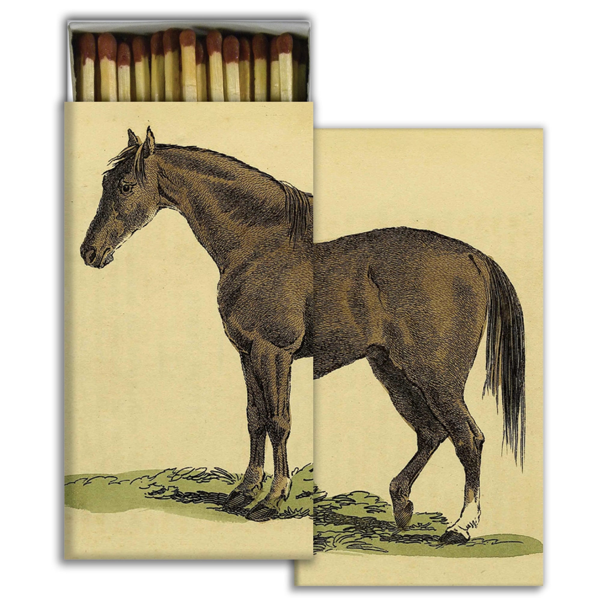Matches - A Horse