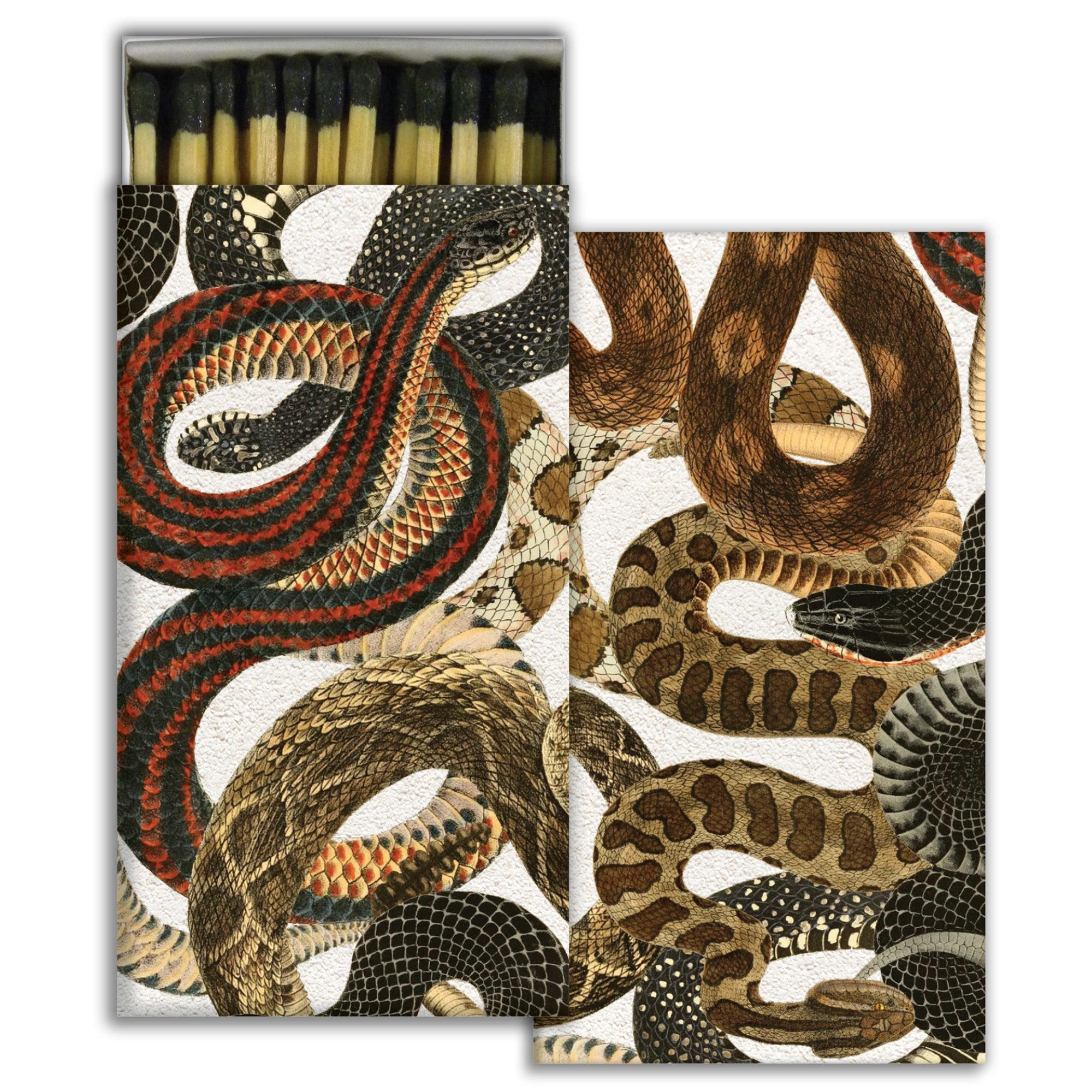Match - Slithering Snakes