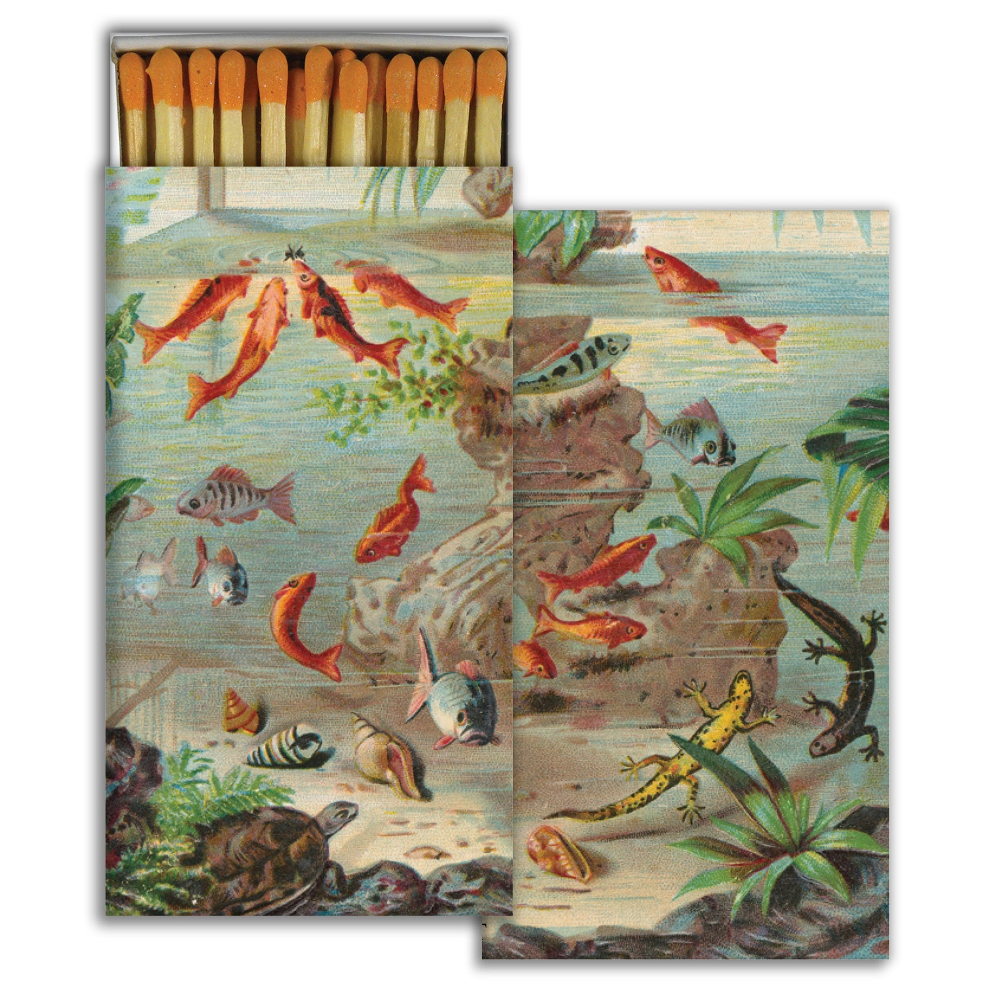 Match - Aquarium