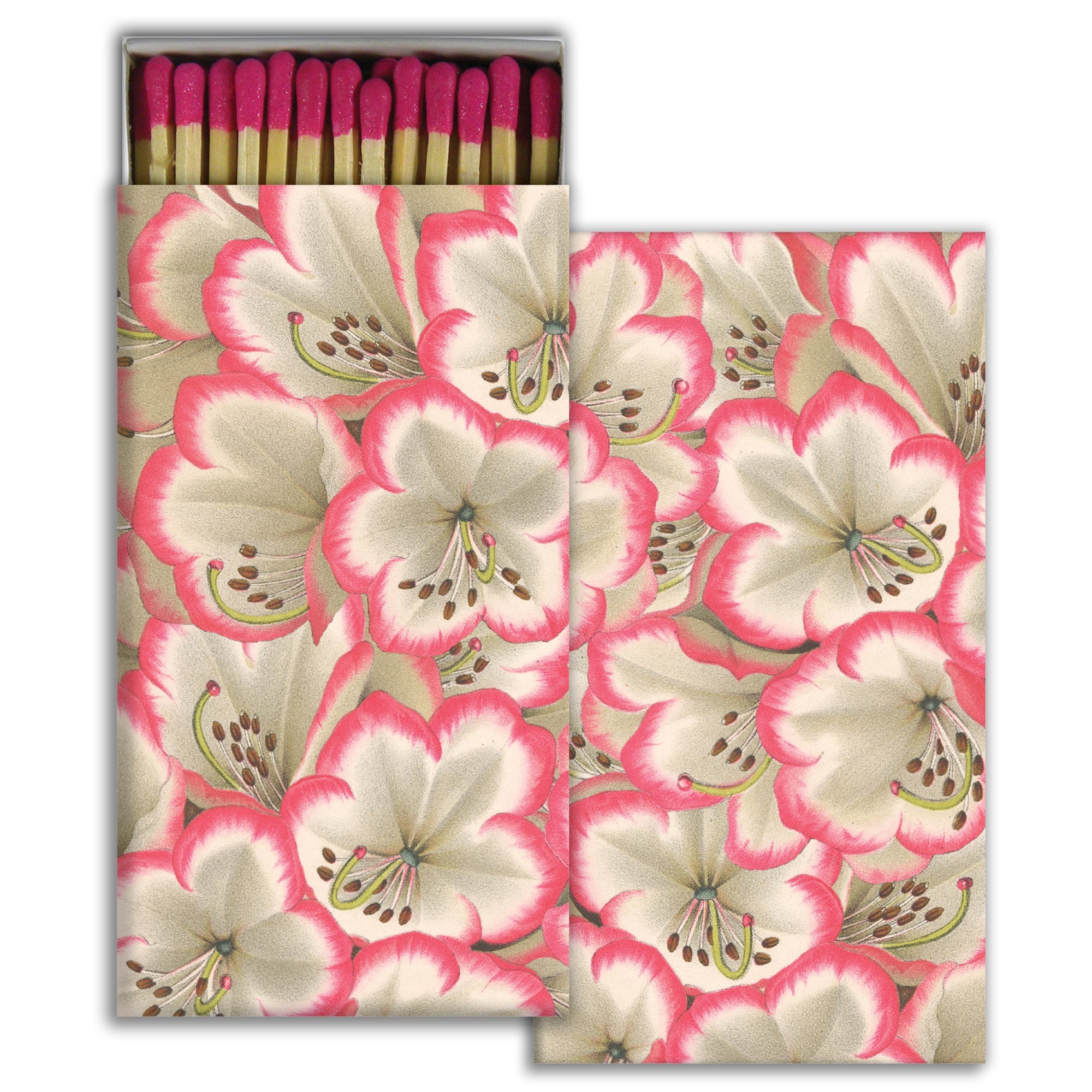 Match - Rhododendron