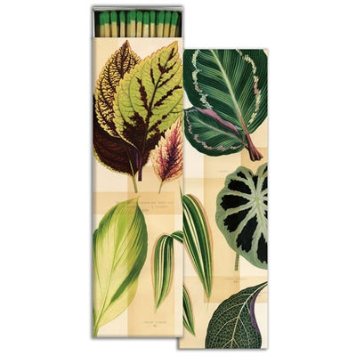 Match - Garden Foliage