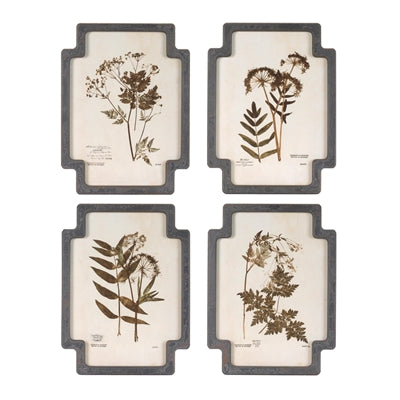 Framed Foliage Print (4 Asst) 11.5"L x 15.5"H Wood/MDF/Glass