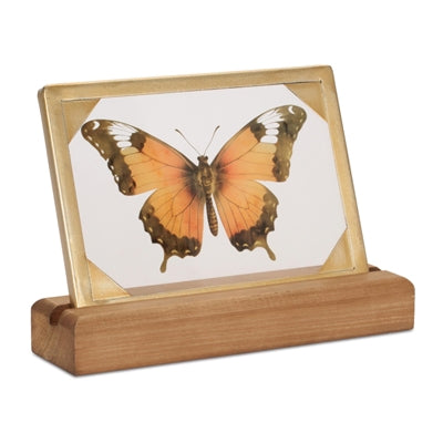 Butterfly Décor 9"L x 6"H Wood/Glass/Iron