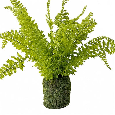 Potted Fern 21”H Polyester
