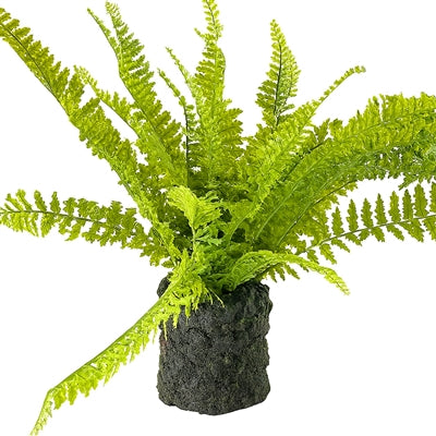 Potted Fern 24”H Polyester