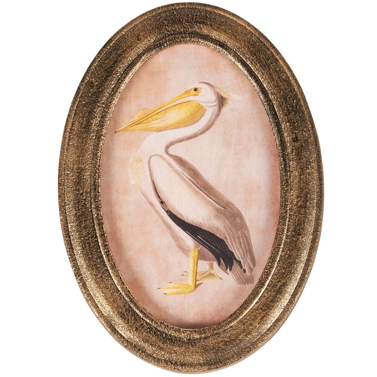 Pelican Wall Art