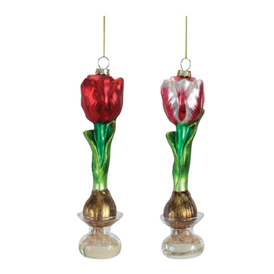 Tulip Ornament (S/2)