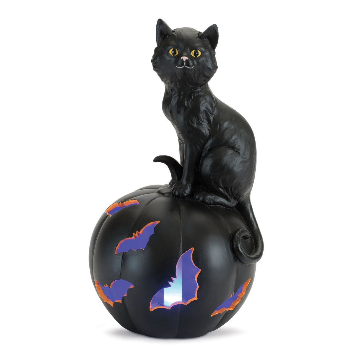 Cat on Pumpkin