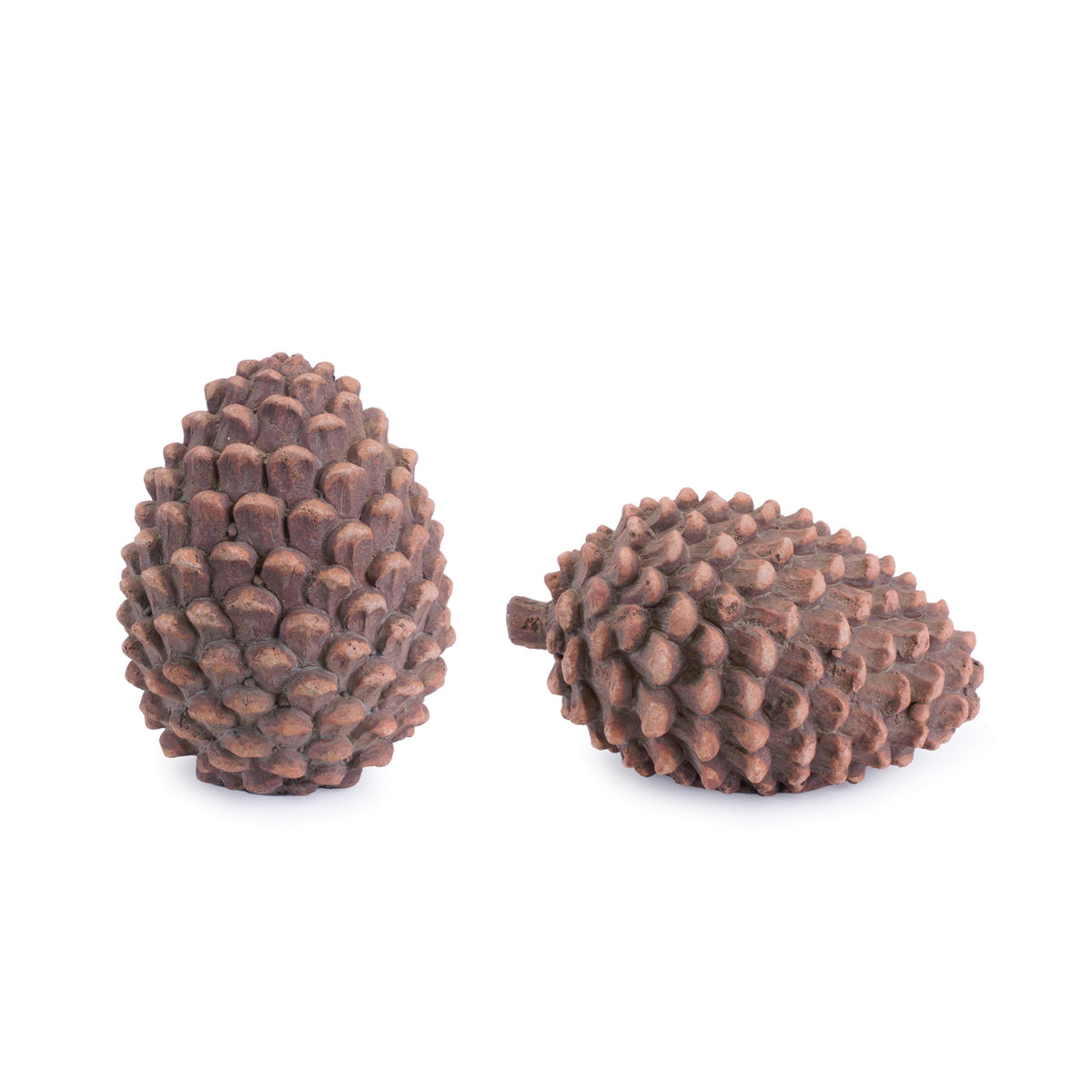 Pine Cone (S/2)