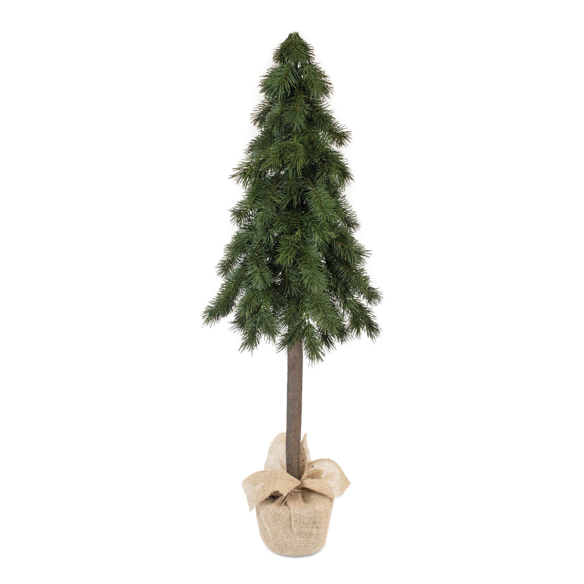 Pine Tree