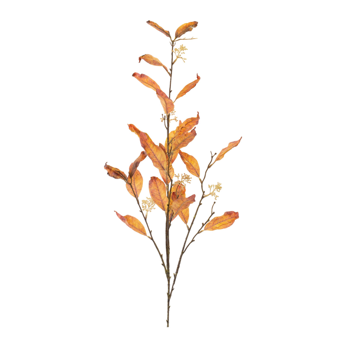 Leaf Spray