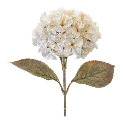 Hydrangea Stem - Cream