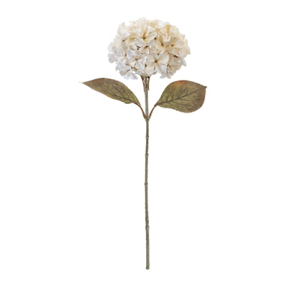 Hydrangea Stem - Cream