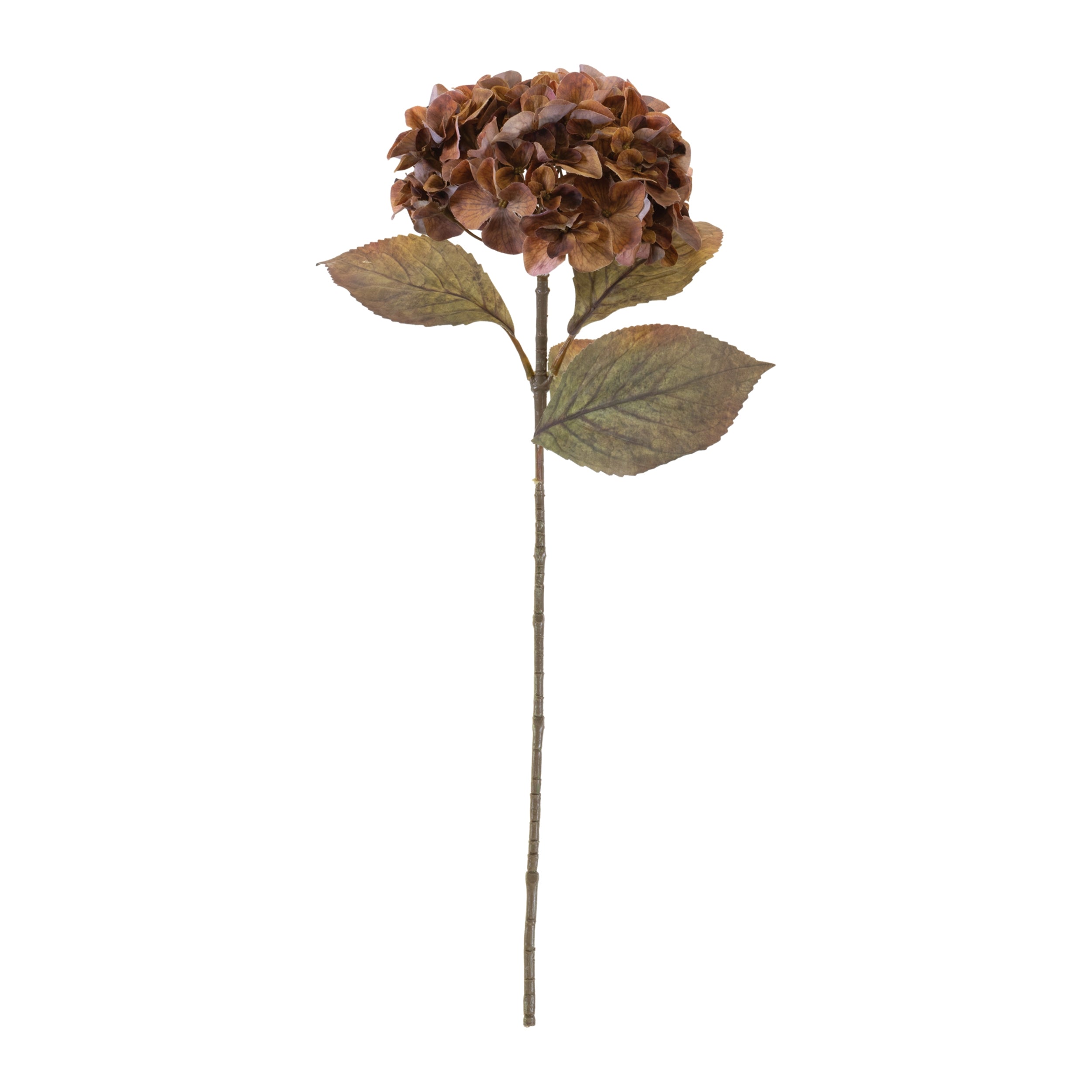 Hydrangea Stem - Brown