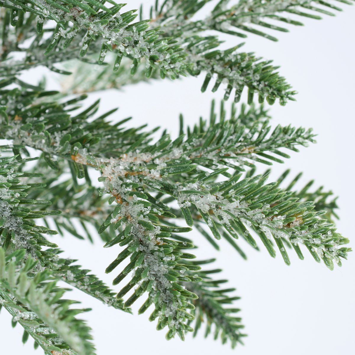Icy Pine Tree (M)