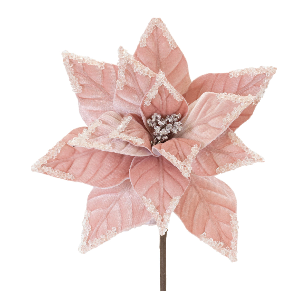 Poinsettia Stem