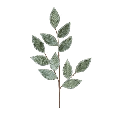 Leaf Spray