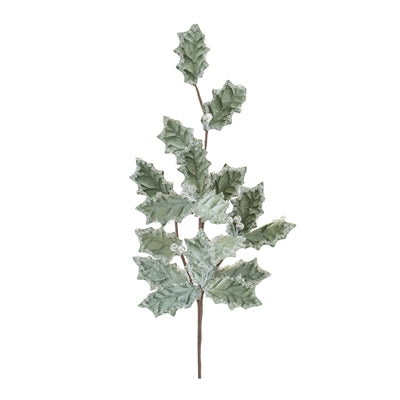 Holly Stem