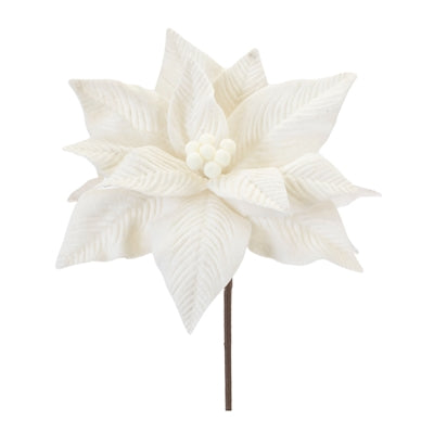Poinsettia Stem