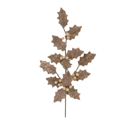 Holly Stem