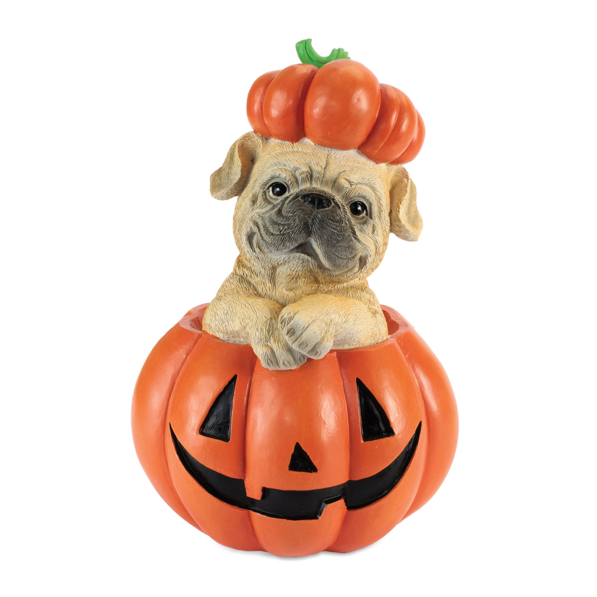 Dog in Jack-o-Lantern