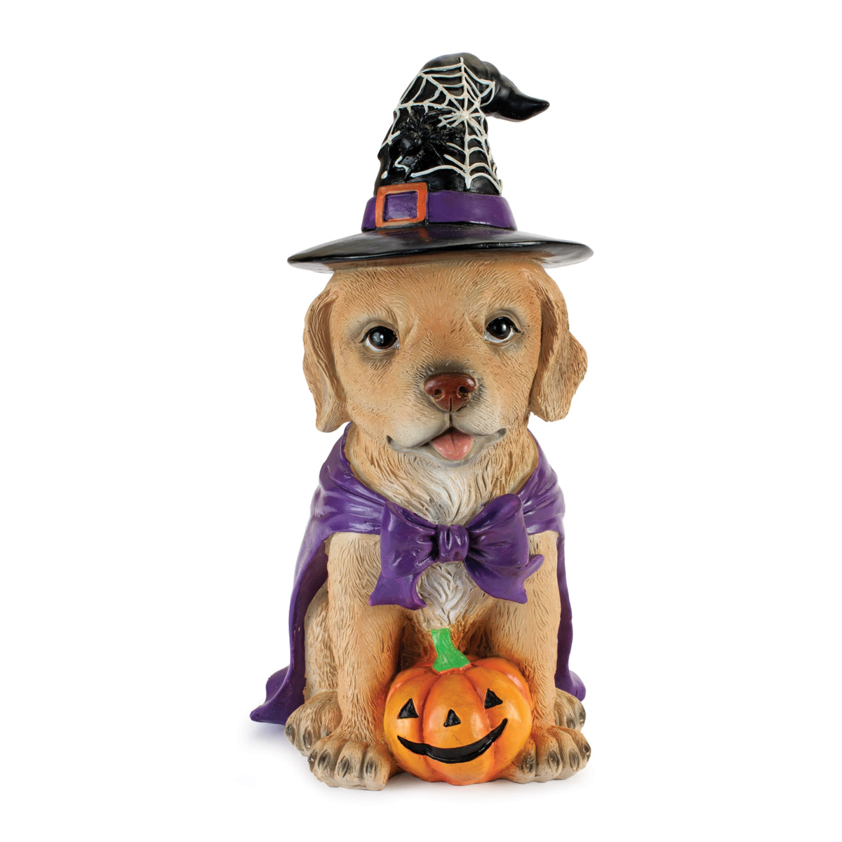 Dog w/Witch Hat