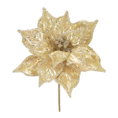 Poinsettia Stem