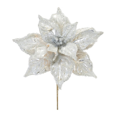 Poinsettia Stem