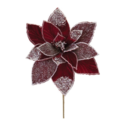 Poinsettia Stem