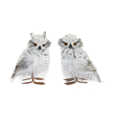 Owl (S/2)