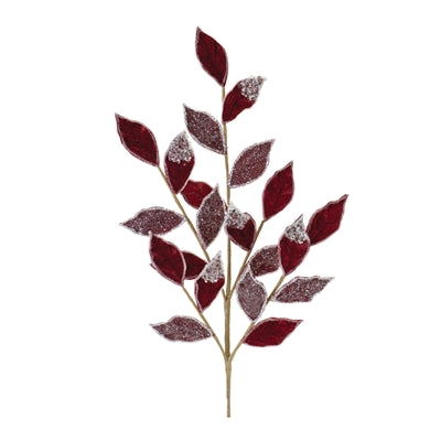 Leaf Spray