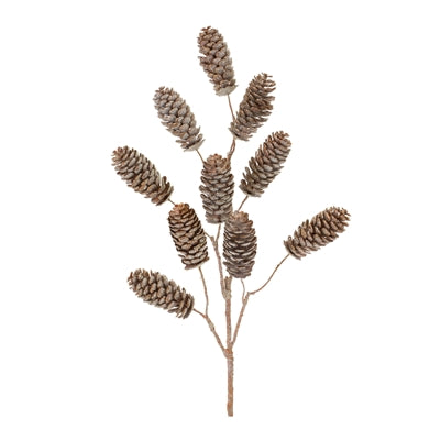 Pine Cone Spray