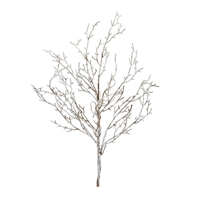 Icy Branch