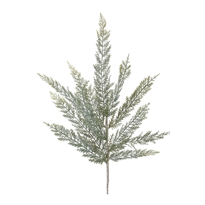 Fern Spray