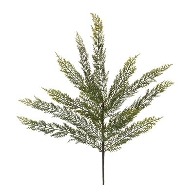 Fern Spray