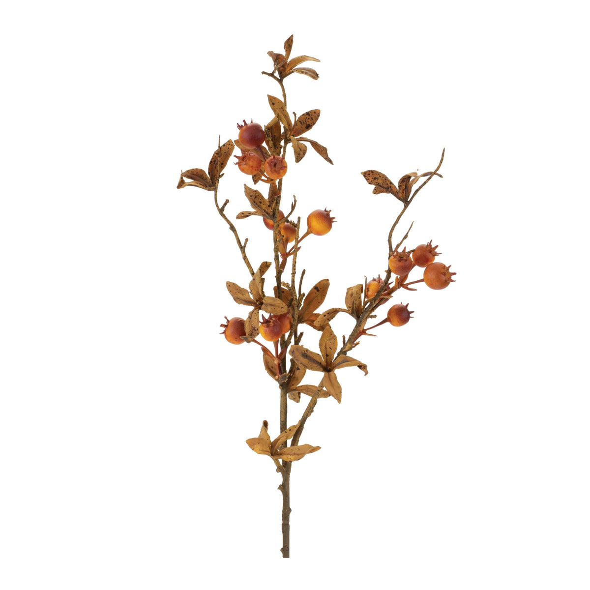 Rose Hip Spray