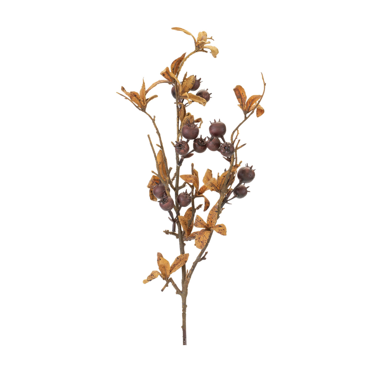 Rose Hip Spray
