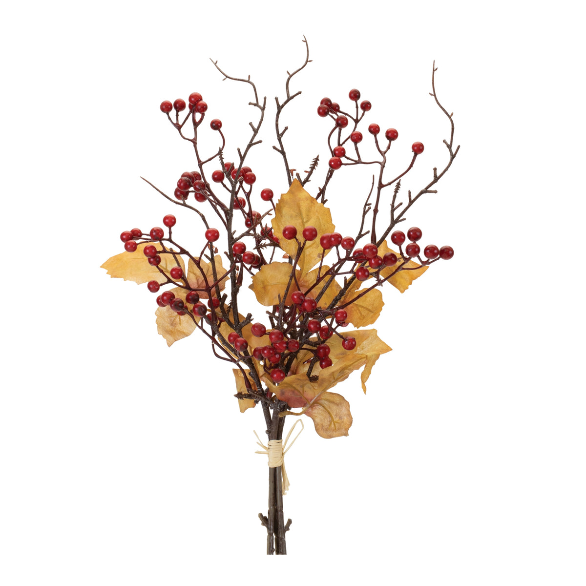 Berry Bundle