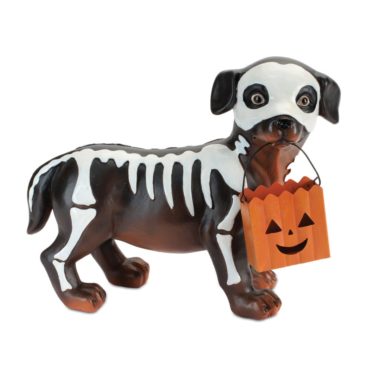 Dog Trick or Treating