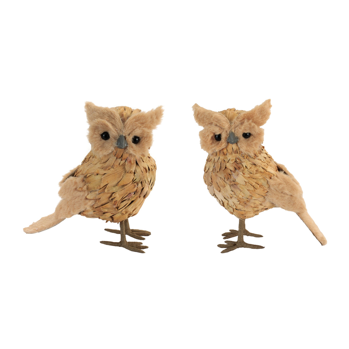 Owl (S/2)