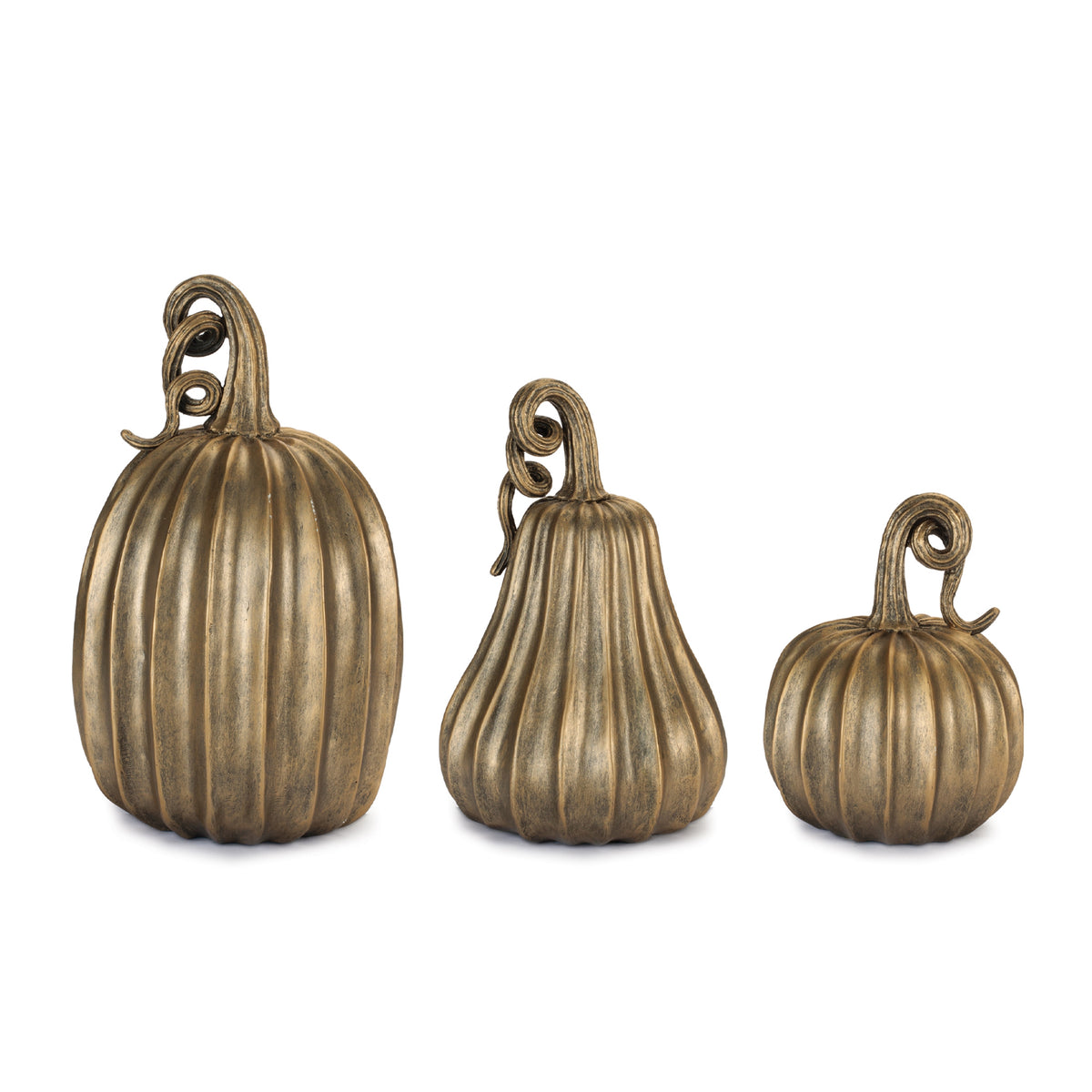 Pumpkin (S/3)