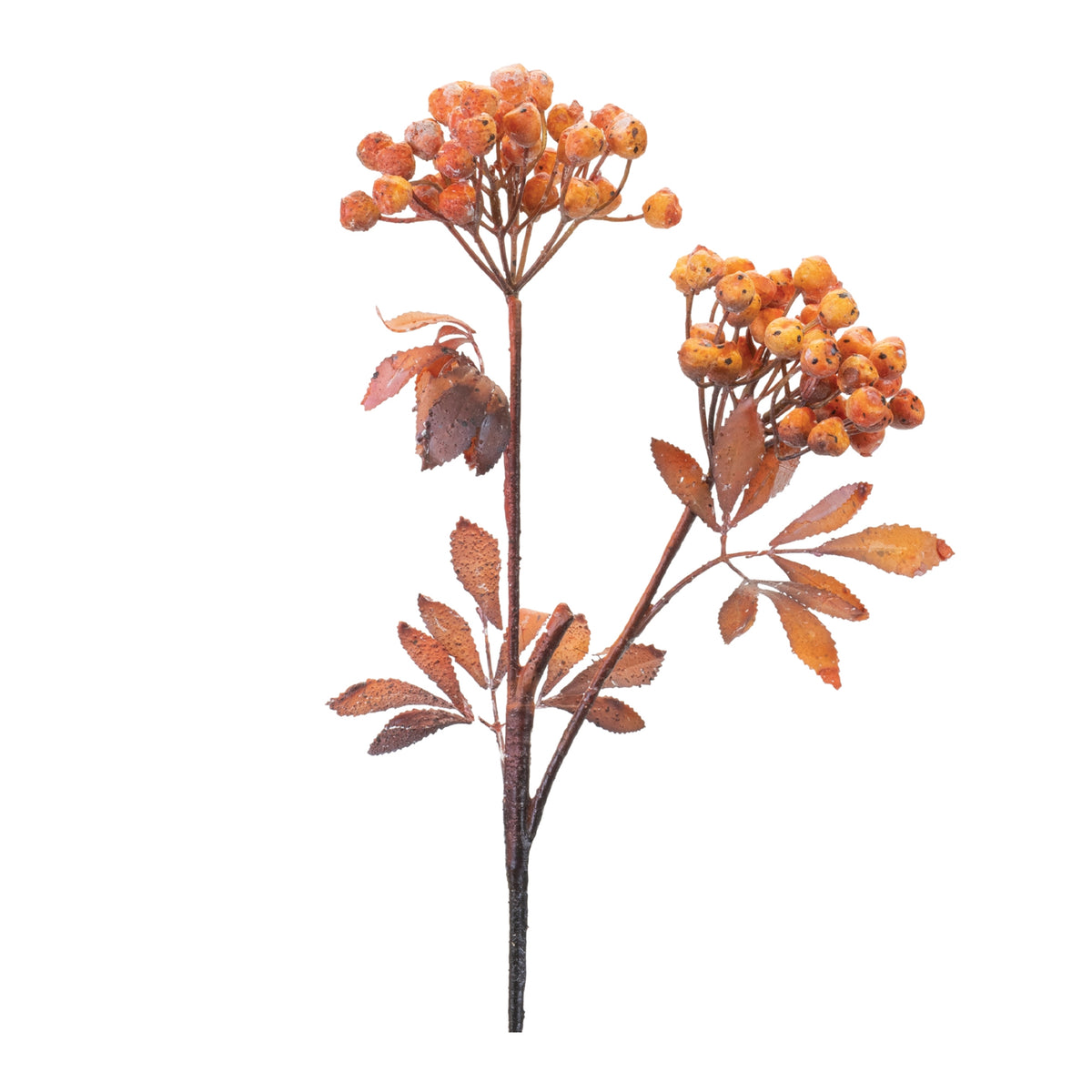 Berry Cluster Spray