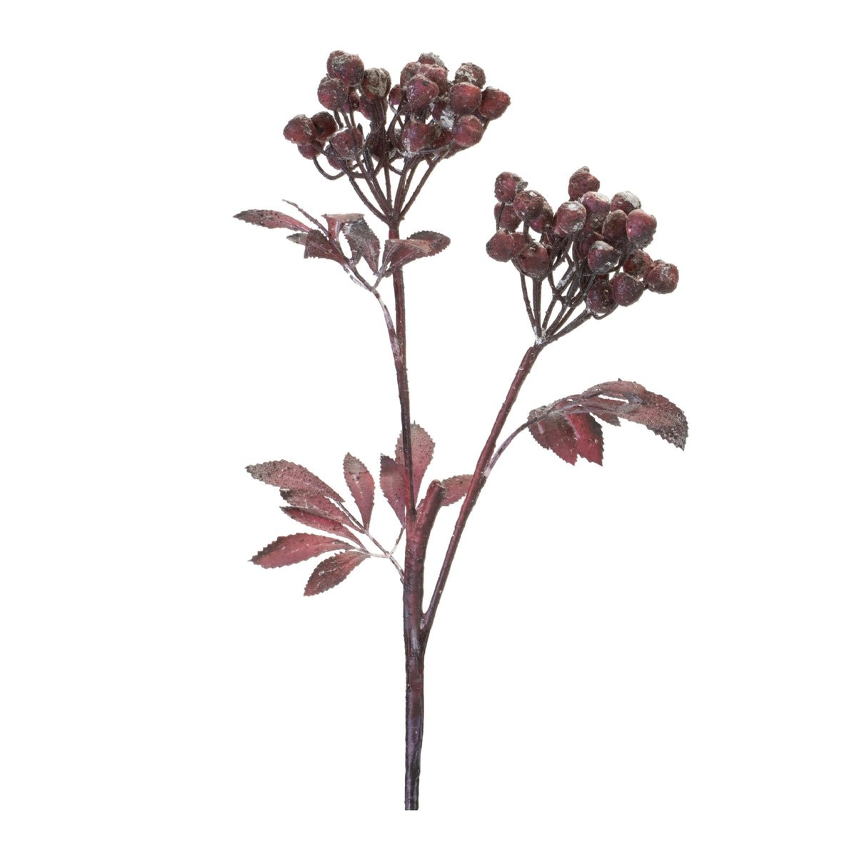 Berry Cluster Spray