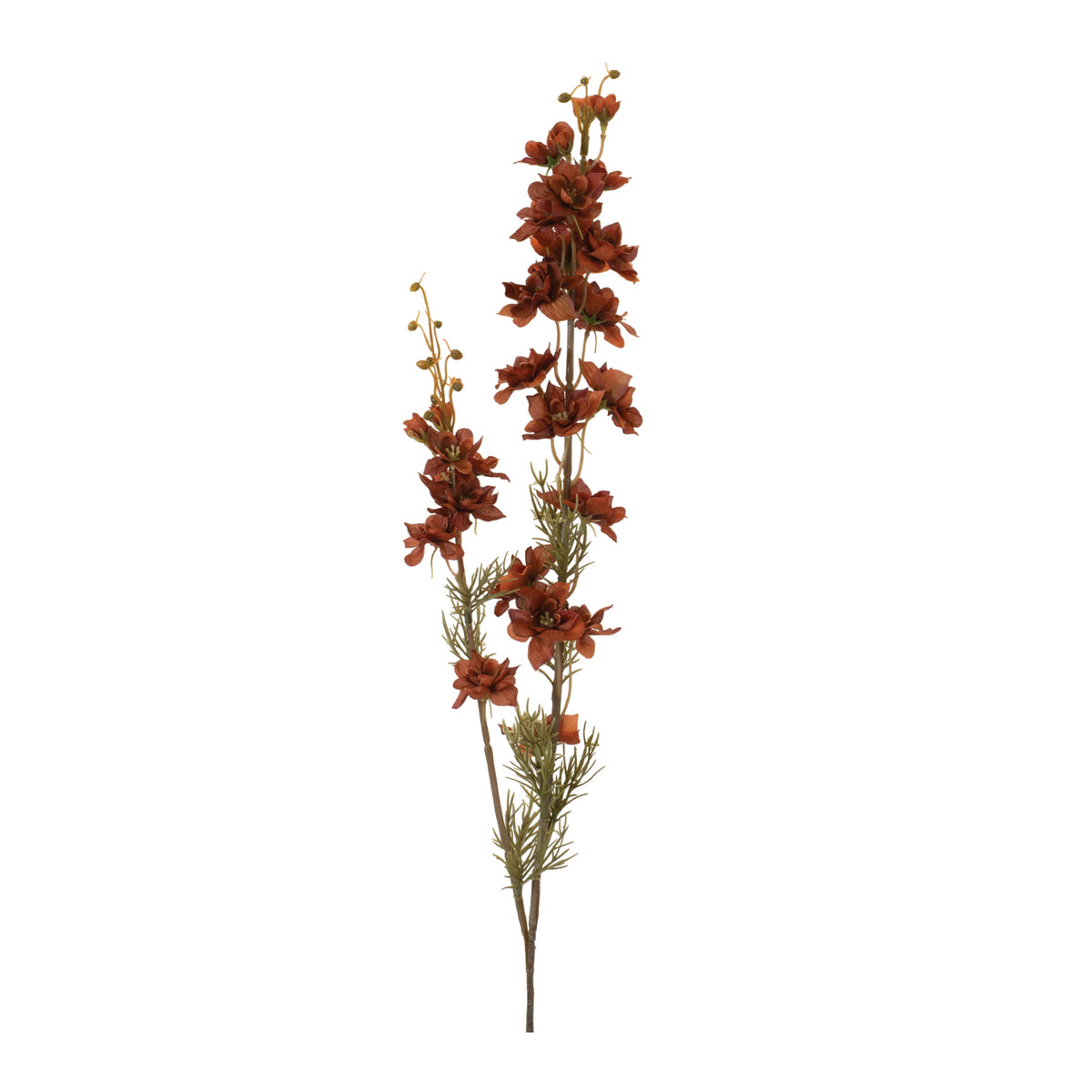 Larkspur Spray